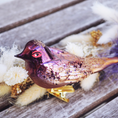 Bild in Galerie-Betrachter laden, Glasvogel SHERRY