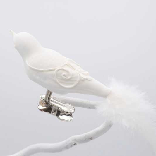 Glasvogel LUDWIG