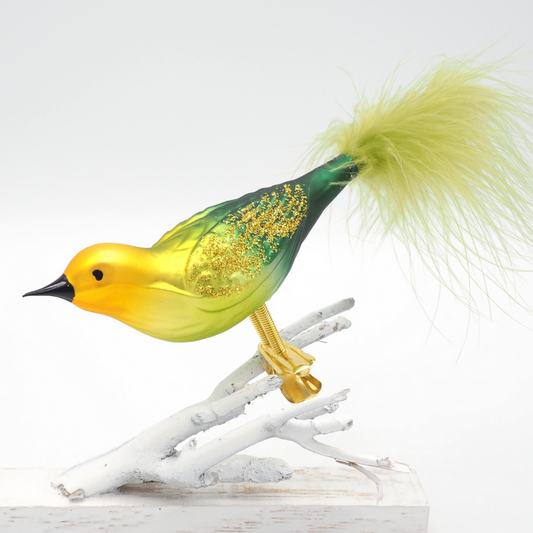 Glasvogel BAYU grün gelb