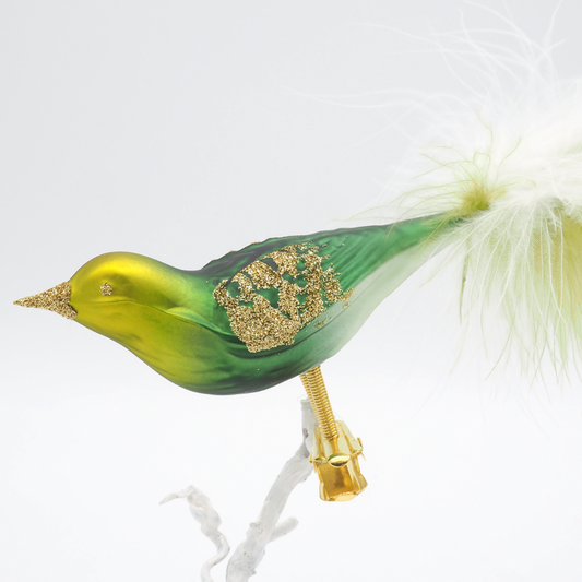 Glasvogel BAYU grün weiß