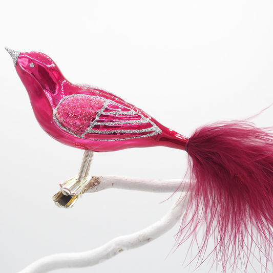 Glasvogel CLASSIC himbeere