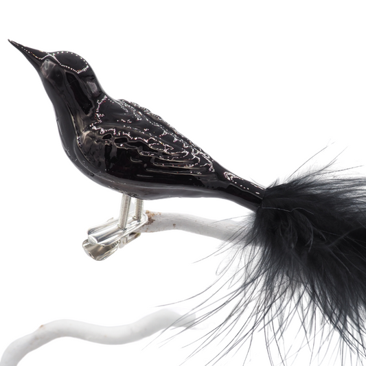 Glasvogel LACK schwarz