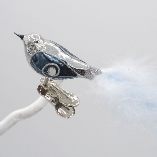 Glasvogel klein CLAUDE