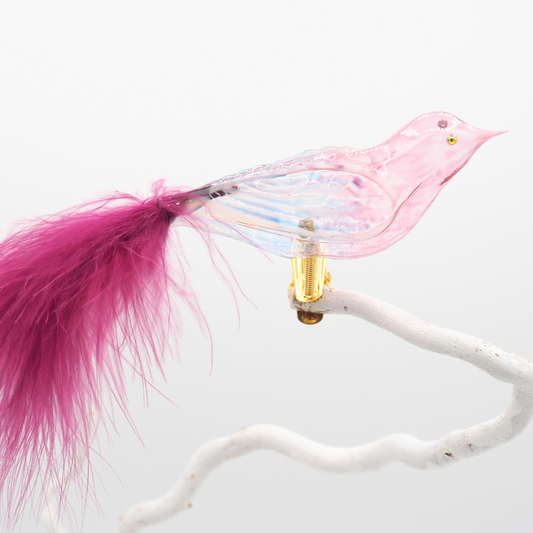 Glasvogel GRADIENT himbeere