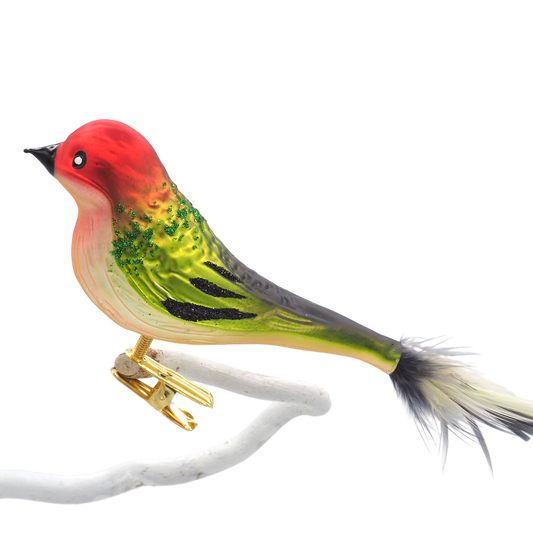 Glasvogel NABU grün rot