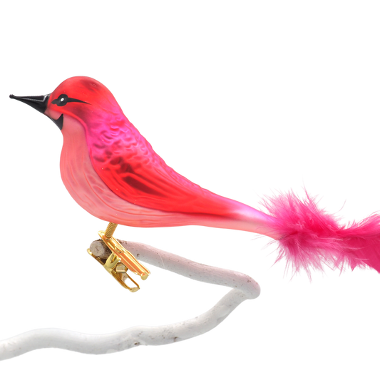 Glasvogel NABU pink
