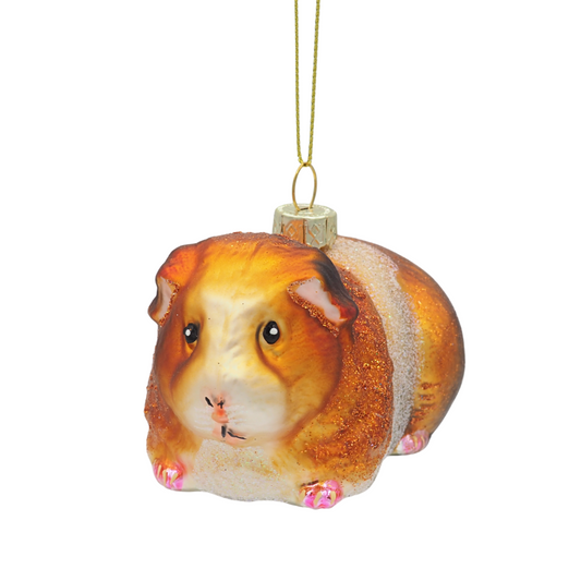 Meerschweinchen