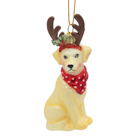 Labrador mit Geweih