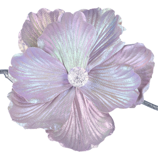 Blume Iris Lavendel · Clip