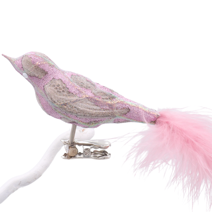 Glasvogel BALOTTINI Lila