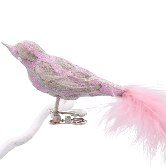 Glasvogel BALOTTINI Lila